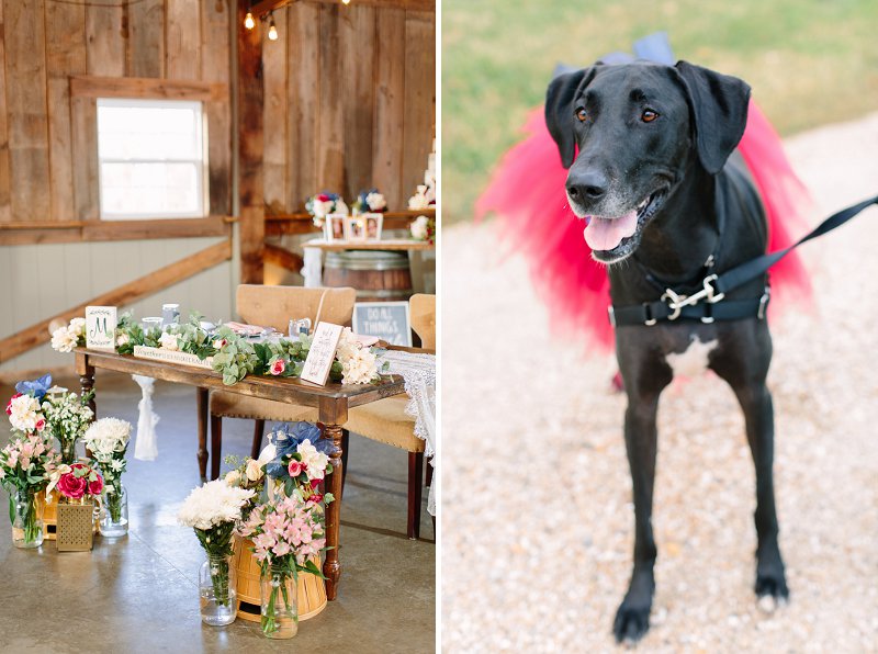 Adorable wedding dog with red tutu for outdoor rustic fall wedding in Virginia